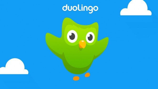 Image result for duolingo